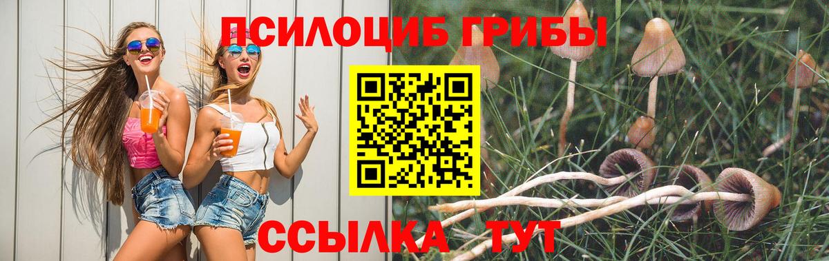 Псилоцибиновые грибы Psilocybe  Вход с VPN  Псилоцибиновые грибы Magic Shrooms  Ликино-Дулёво 